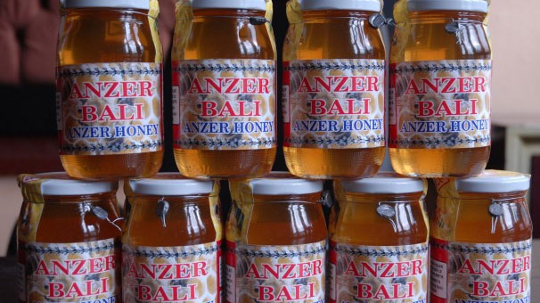anzer-bali-fiyatlari-2012