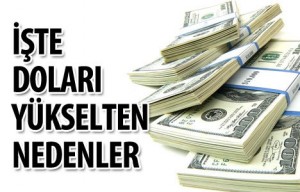 dolar