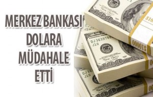 dolar_merkez_bankasi